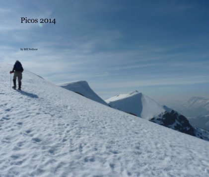 Picos 2014 book cover