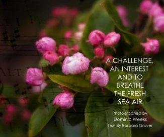 A Challenge, An Interest And To Breathe The Fresh Sea Air book cover