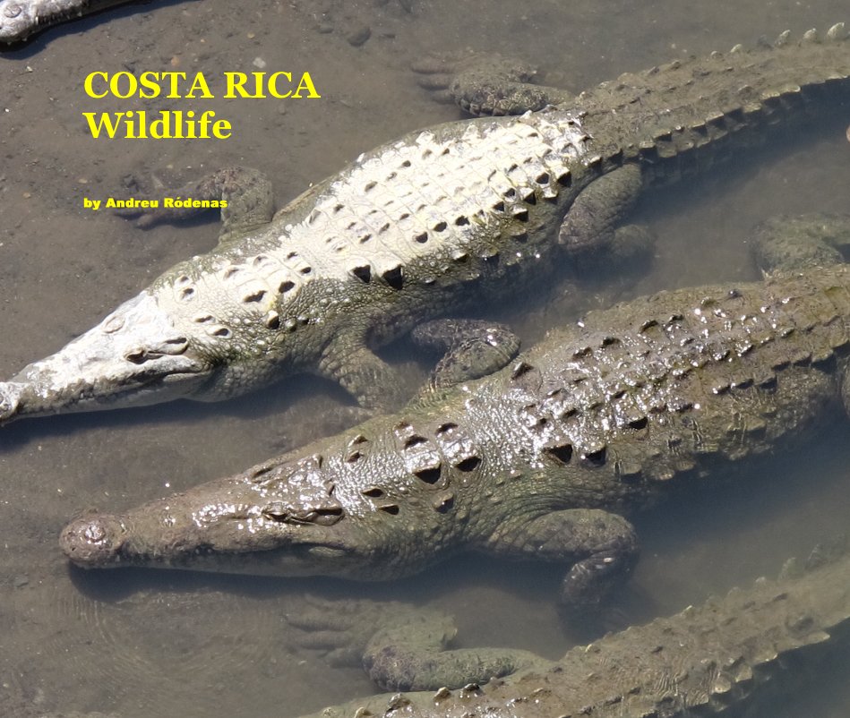 Bekijk COSTA RICA Wildlife op Andreu Rodenas