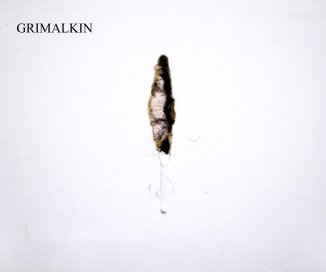 GRIMALKIN book cover