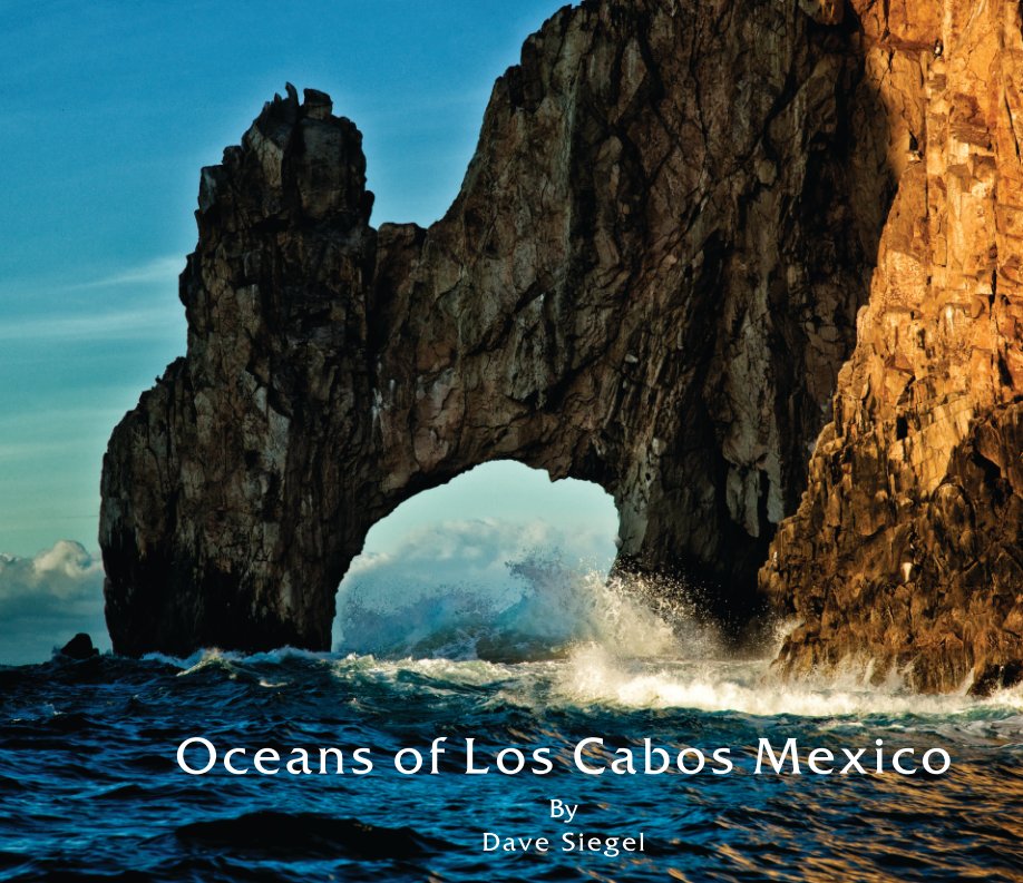View Cabo Mexico Book by Dave Siegel
