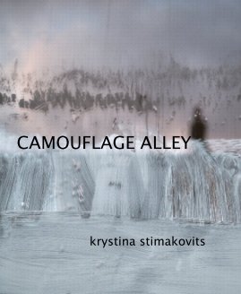CAMOUFLAGE ALLEY book cover
