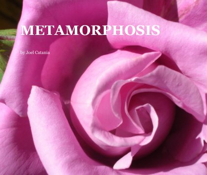 METAMORPHOSIS book cover