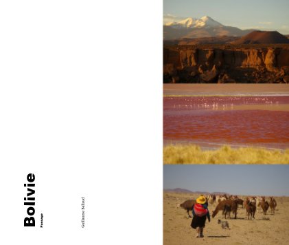 Bolivie Passage book cover