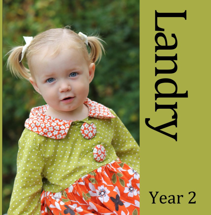 View Landry Book 2 by Cindy Nemmers