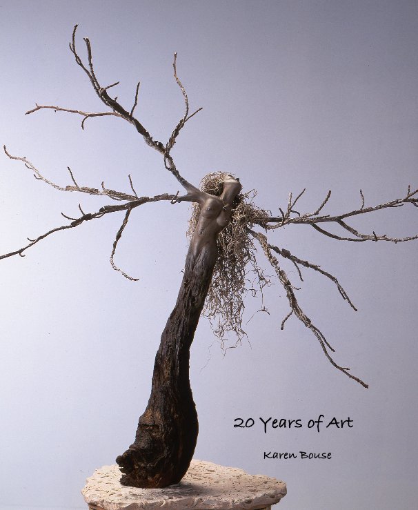 Visualizza 20 Years of Art di Karen Bouse