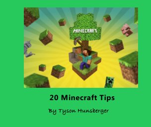 20 Minecraft Tips book cover