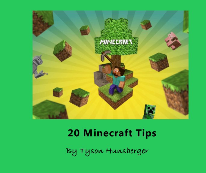 View 20 Minecraft Tips by Tyson Hunsberger