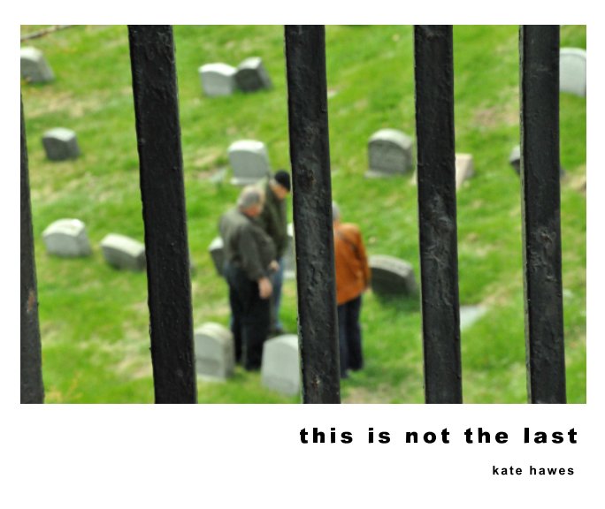 Visualizza this is not the last di Kate Hawes