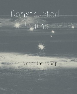 Constructed Truths book cover