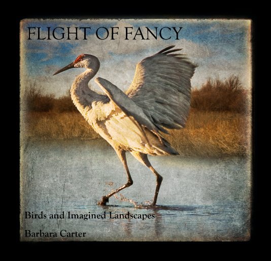 Bekijk FLIGHT OF FANCY op Barbara Carter