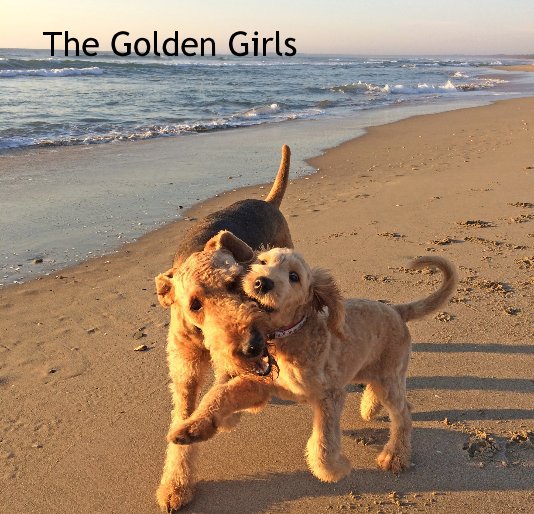View The Golden Girls by Blogmollydog