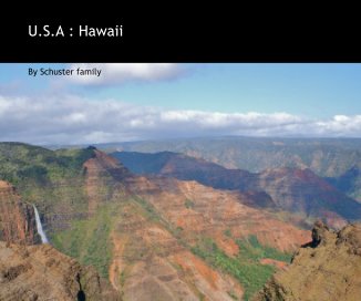 U.S.A : Hawaii book cover
