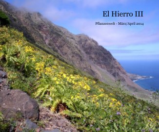 El Hierro III book cover