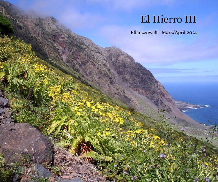 View El Hierro III by Peter Teuthorn