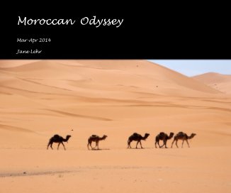 Moroccan Odyssey book cover