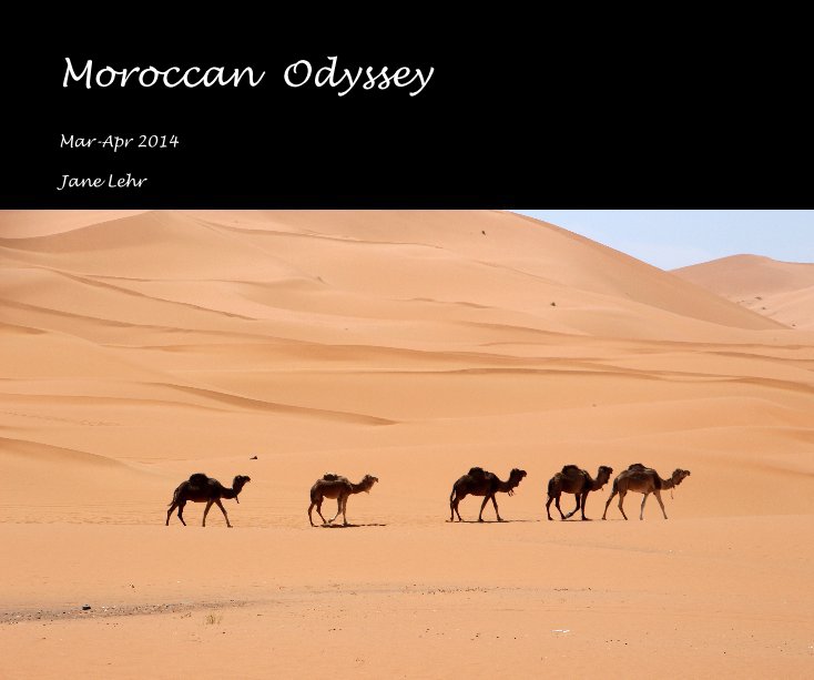 Ver Moroccan Odyssey por Jane Lehr