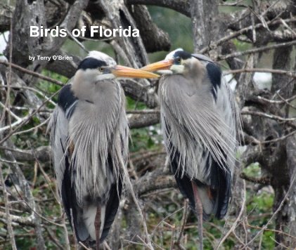 Birds of Florida book cover
