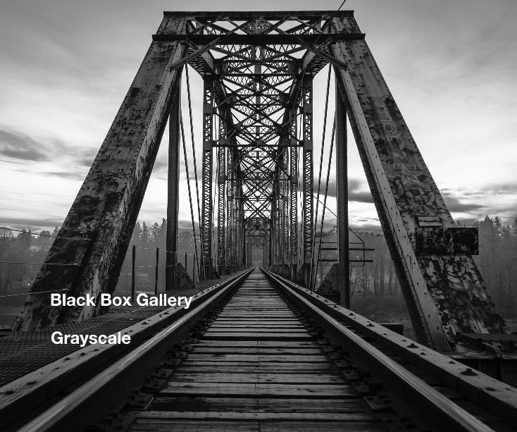 View Grayscale by Black Box Gallery