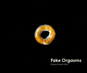 Fake Orgasm book cover