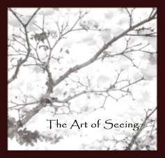 The Art of Seeing book cover