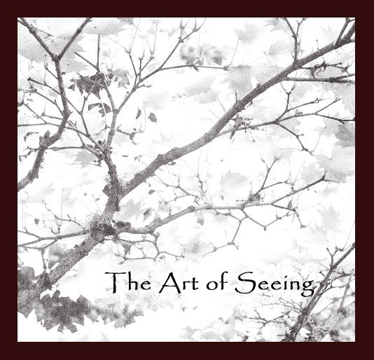 View The Art of Seeing by Ira Thomas