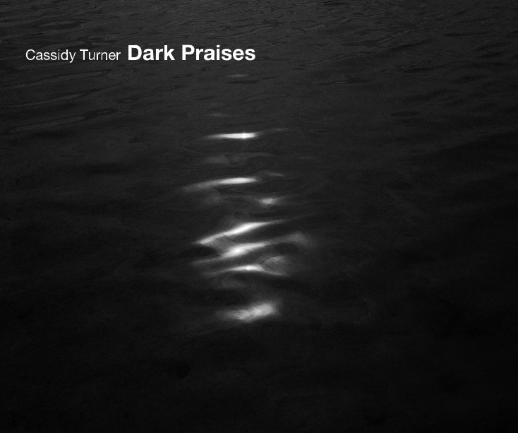 View Dark Praises by Cassidy Turner