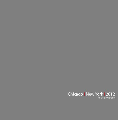 Chicago New York 2012 book cover