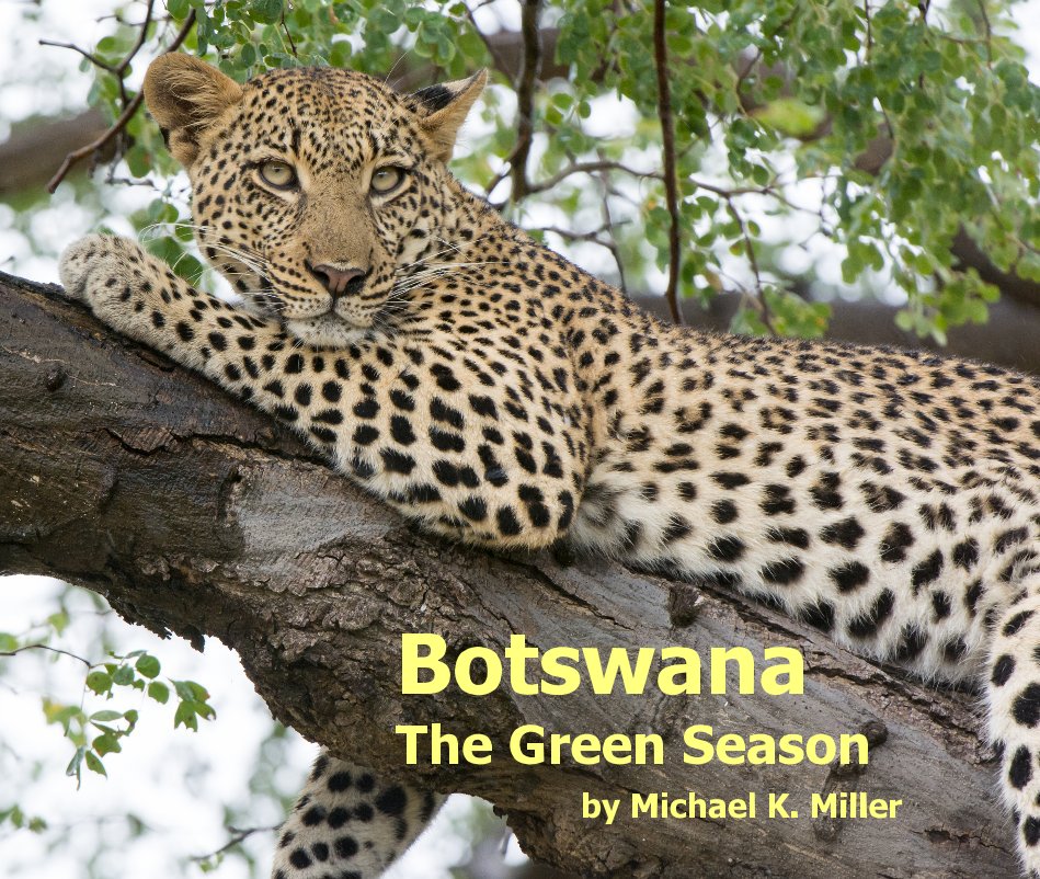 View Botswana The Green Season by Michael K. Miller