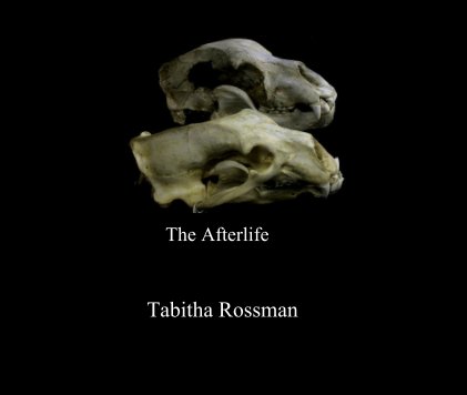 The Afterlife book cover