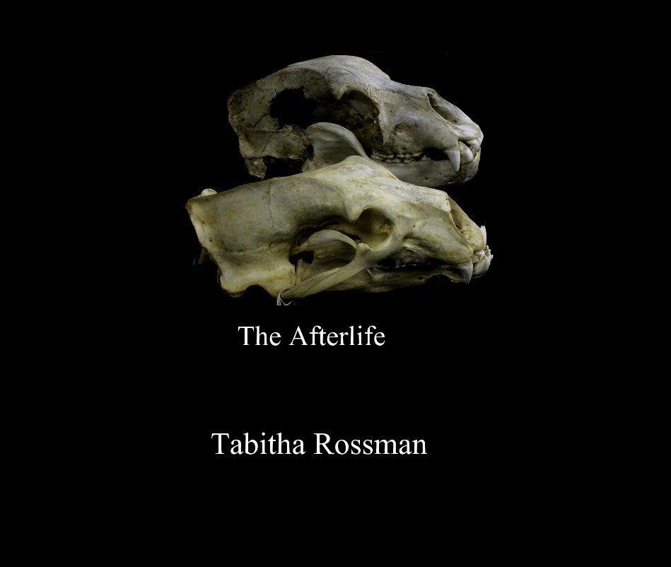 View The Afterlife by Tabitha Rossman