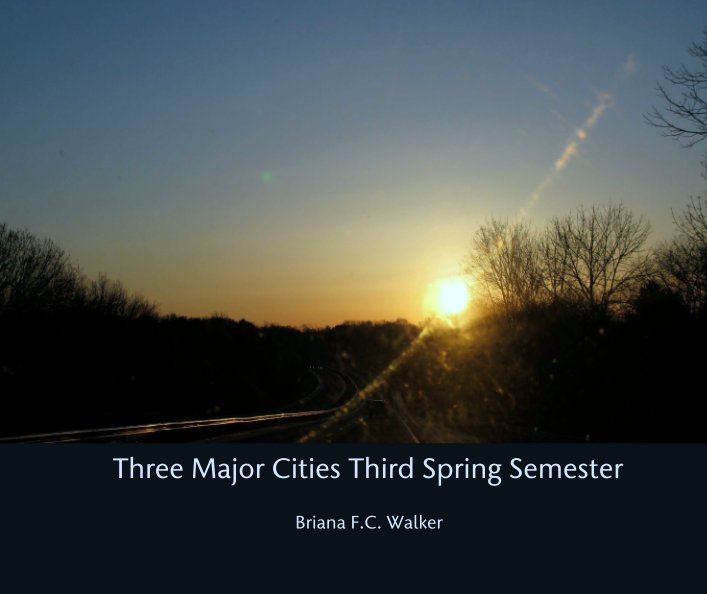 Bekijk Three Major Cities Third Spring Semester op Briana F.C. Walker