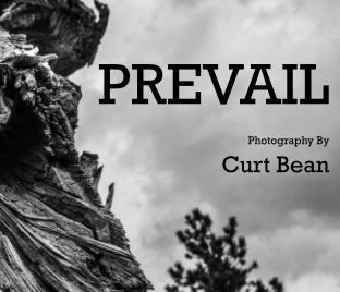 PREVAIL book cover