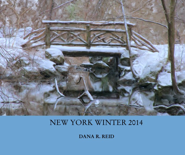 NEW YORK WINTER 2014 nach DANA R REID anzeigen