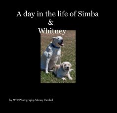 A day in the life of Simba & Whitney book cover