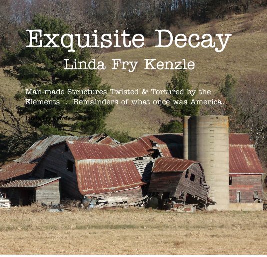 View Exquisite Decay by Linda Fry Kenzle