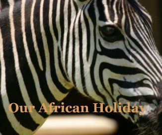 Our African Holiday book cover