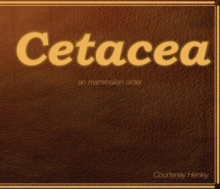 Cetacea an mammalian order book cover
