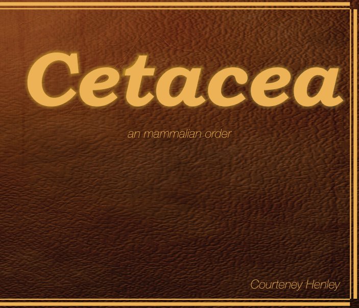 View Cetacea an mammalian order by Courteney Henley