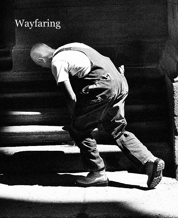 View Wayfaring by SL Levy