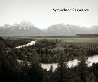 Sympathetic Resonance book cover