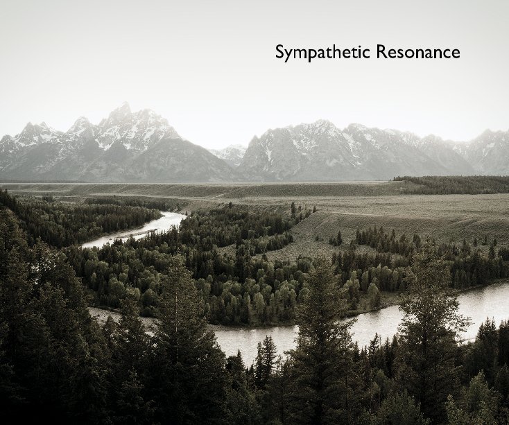 View Sympathetic Resonance by Darrell Kincer