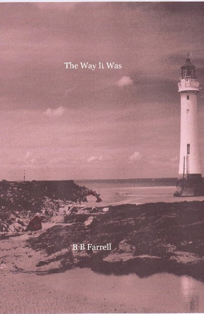 View The Way It Was by B B Farrell