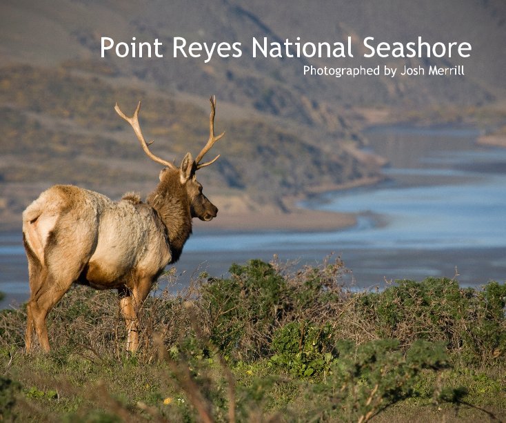 Visualizza Point Reyes National Seashore Photographed by Josh Merrill di Josh Merrill