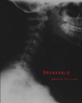 breakable book cover