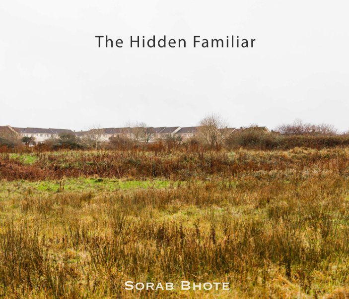 View The Hidden Familiar by Sorab Bhote