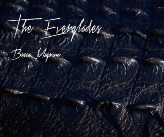 A Look into the Everglades book cover