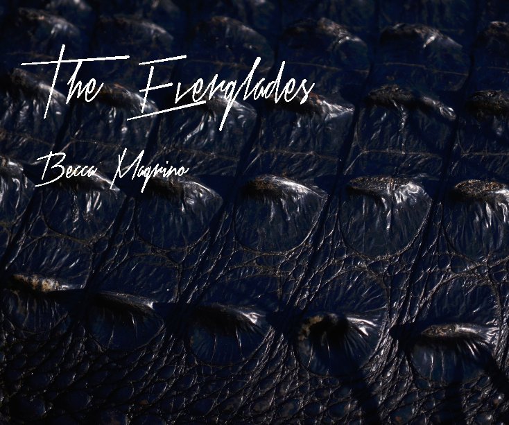View A Look into the Everglades by Becca Magrino