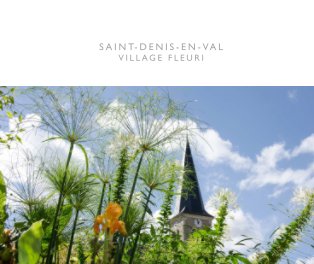 Saint Denis en Val book cover