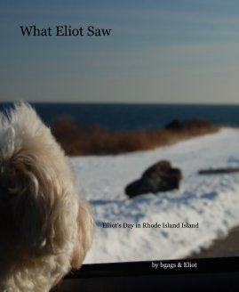 What Eliot Saw book cover